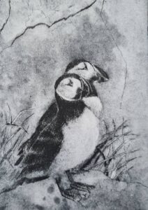 Cecilia Mackay