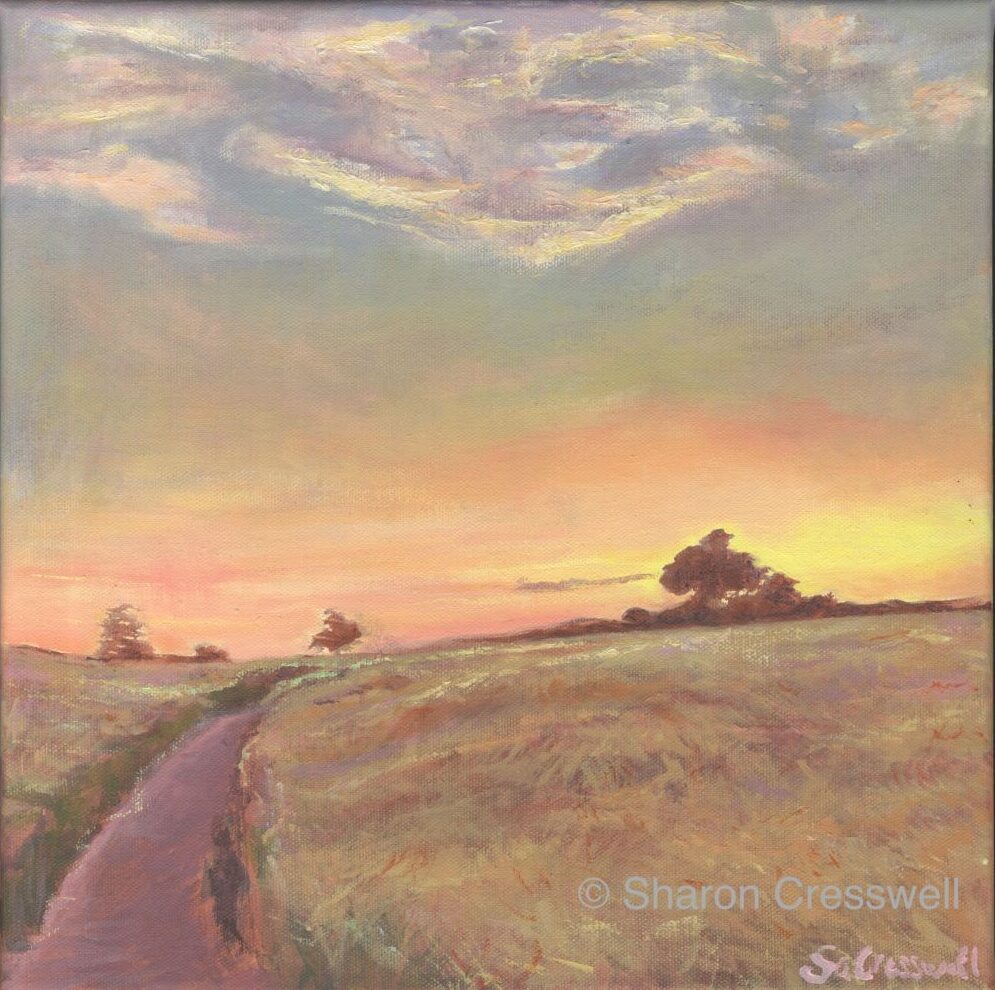 sharon-cresswell-saxon-fields
