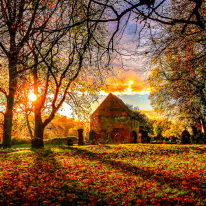 Autumn Glow in Abbey Fields