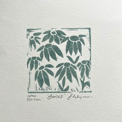 Daises Emma Gluyas - Emma Gluyas