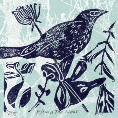 Flown the Nest - FIONA METCALFE