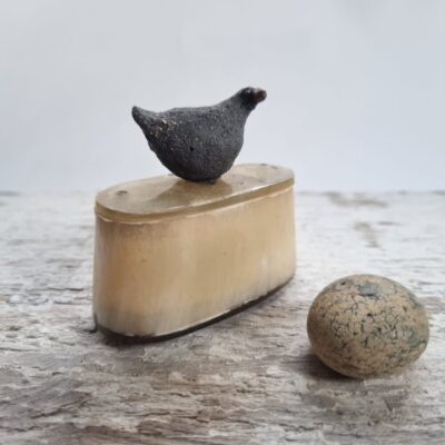 Tiny bird on box - Corinna Spencer