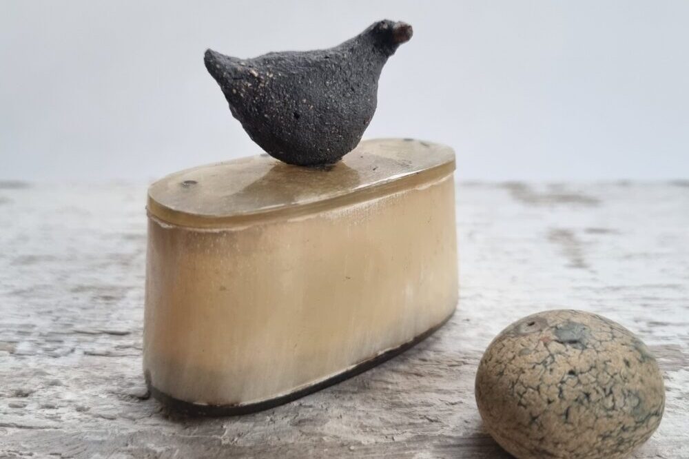 Tiny bird on box - Corinna Spencer